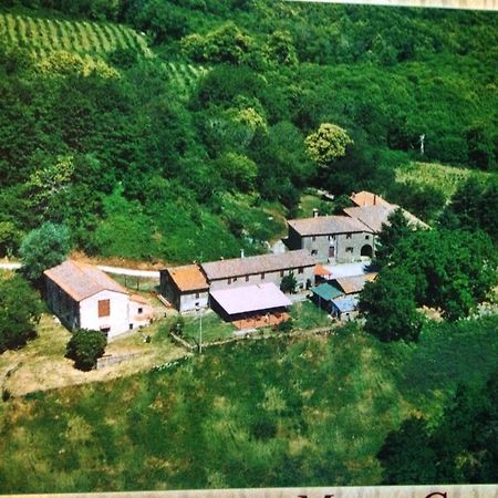 Bottega Di Montegiovi Hotel Scopeti Kültér fotó