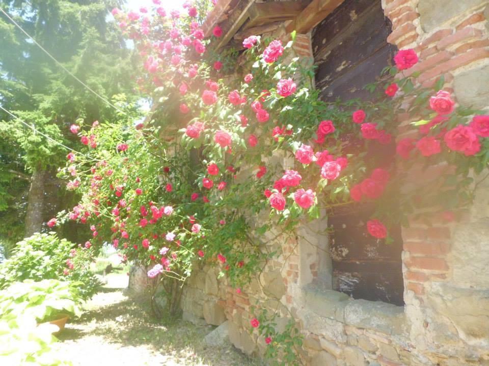 Bottega Di Montegiovi Hotel Scopeti Kültér fotó